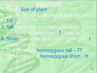 SOLUTION
1. Trait – Size of plant.
2. Letter chosen to represent size of plant =
T/t
3. Tall plants are dominant. (Given in
problem) – Given the – “T” (capital T)
4. Short plants are recessive – given the “t”
(lower case t)
5. One parent is homozygous tall – TT
other parent is homozygous short - tt
 