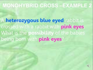 MONOHYBRID CROSS –EXAMPLE 2
A heterozygous blue eyed rabbit is
crossed with a rabbit with pink eyes.
What is the possibility of the babies
being born with pink eyes?
 