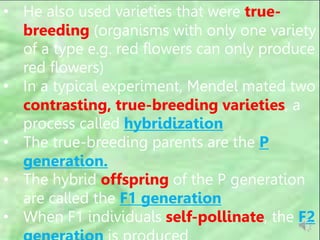 • He also used varieties that were true-
breeding (organisms with only one variety
of a type e.g. red flowers can only produce
red flowers)
• In a typical experiment, Mendel mated two
contrasting, true-breeding varieties, a
process called hybridization
• The true-breeding parents are the P
generation.
• The hybrid offspring of the P generation
are called the F1 generation
• When F1 individuals self-pollinate, the F2
 
