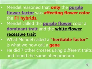 • Mendel reasoned that only the purple
flower factor was affecting flower color
the F1 hybrids.
• Mendel called the purple flower color a
dominant trait and the white flower
recessive trait
• What Mendel called a “heritable factor”
is what we now call a gene
• He did 7 other crosses using different traits
and found the same phenomenon.
 