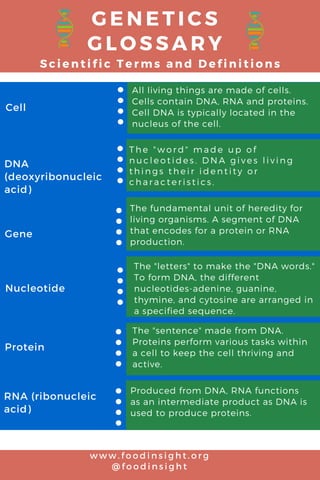 G E N E T I C S
G L O S S A R Y
S c i e n t i f i c T e r m s a n d D e f i n i t i o n s
DNA
(deoxyribonucleic
acid)
Gene
Cell
Protein
Nucleotide
RNA (ribonucleic
acid)
w w w . f o o d i n s i g h t . o r g
@ f o o d i n s i g h t
The fundamental unit of heredity for
living organisms. A segment of DNA
that encodes for a protein or RNA
production. 
Produced from DNA, RNA functions
as an intermediate product as DNA is
used to produce proteins. 
All living things are made of cells.
Cells contain DNA, RNA and proteins.
Cell DNA is typically located in the
nucleus of the cell. 
The "letters" to make the "DNA words."
To form DNA, the different
nucleotides-adenine, guanine,
thymine, and cytosine are arranged in
a specified sequence.
The "sentence" made from DNA.
Proteins perform various tasks within
a cell to keep the cell thriving and
active.  
T h e " w o r d " m a d e u p o f
n u c l e o t i d e s . D N A g i v e s l i v i n g
t h i n g s t h e i r i d e n t i t y o r
c h a r a c t e r i s t i c s .  
 