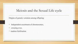 Meiosis and the Sexual Life cycle
Origins of genetic variation among offspring:
• Independent assortment of chromosomes,
• crossing over,
• random fertilisation
 