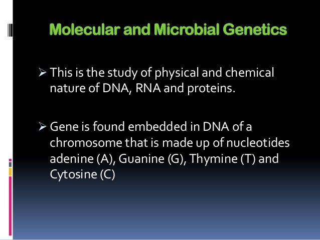 Genetics homework help
