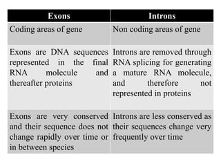 Comprehensive Overview of Human Genetics and Pediatric Diseases | PDF