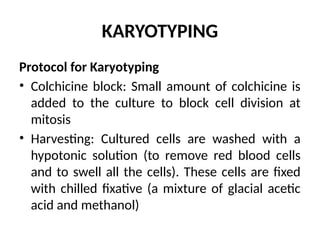 Genetics I - Chromosomes & Method of Karyotyping | PPTX