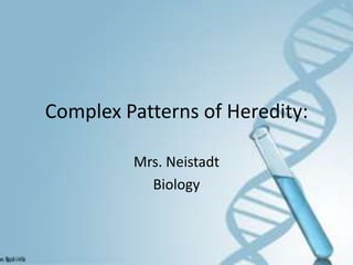 Complex Patterns of Heredity:

         Mrs. Neistadt
           Biology
 