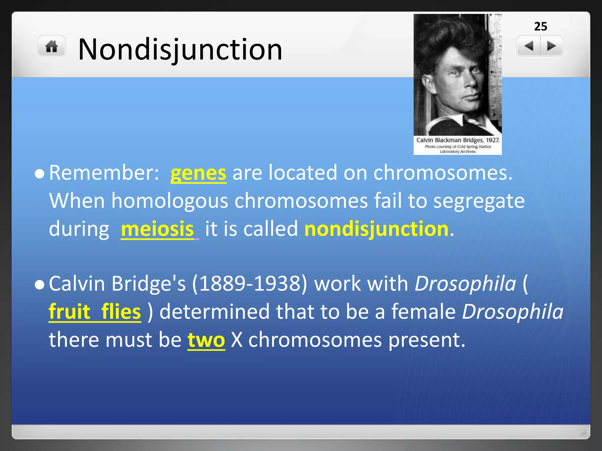 Sexing Homo sapiens
For humans it has been found that the Y
chromosome determines sex.
What sex would each of the following be?
XX
XXX
Female Male•XXY
•XXXYFemale Male
25
 