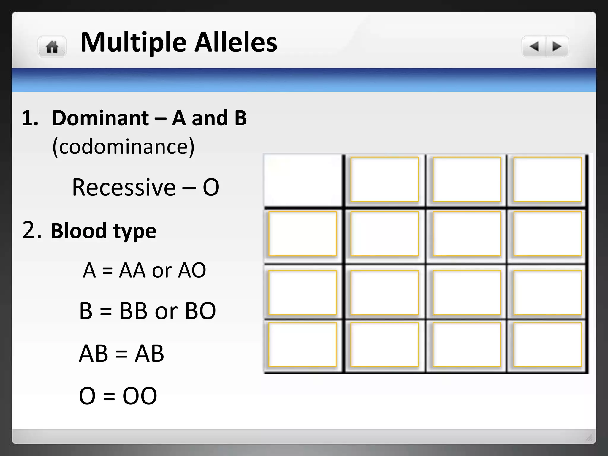 Multiple Alleles
1. Dominant – A and B
(codominance)
Recessive – O
2. Blood type
A = AA or AO
B = BB or BO
AB = AB
O = OO
 