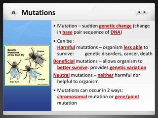 Genetic Disorders:
Lethal genes
Sickle-Cell Anemia
Galactosemia
PKU
Tay-Sachs Disease
Diabetes Mellitus
Sex-linked Diseases
Hemophilia
Colorblindness
Chromosomal Disorders
Down Syndrome
Turner Syndrome
Klinefelter Syndrome
33
 