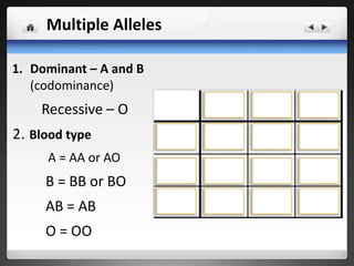 Multiple Alleles
1. Dominant – A and B
(codominance)
Recessive – O
2. Blood type
A = AA or AO
B = BB or BO
AB = AB
O = OO
 