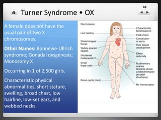 Klinefelter Syndrome • XXY
 47, XXY, or XXY syndrome is a condition in which males
have an extra X sex chromosome.
 While females have an XX chromosomal makeup, and
males an XY, affected individuals have at least two X
chromosomes and at least one Y chromosome.
 1 out of every 1,000 males.
 One in every 500 males have an extra X chromosome
but do not have the syndrome.
 The syndrome can affect different stages of physical,
language and social development. The most common
symptom is infertility. Because they often don't make as
much of the male hormone testosterone as other boys,
teenagers with Klinefelter's syndrome may have less
facial and body hair and may be less muscular than
other boys.
 They may have trouble using language to express
themselves. They may be shy and have trouble fitting
in.
48
 