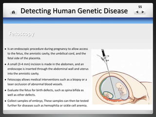 Pedigrees
• Graphic representation of how a trait is passed
from parents to offspring
• Tips for making a pedigree
1. Circles are for females
2. Squares are for males
3. Horizontal lines connecting a male and a
female represent a marriage
4. Vertical line and brackets connect parent
to offspring
5. A shaded circle or square indicates a
person has the trait
6. A circle or square NOT shaded represents
an individual who does NOT have the trait
7. Partial shade indicates a carrier – someone
who is heterozygous for the trait
 