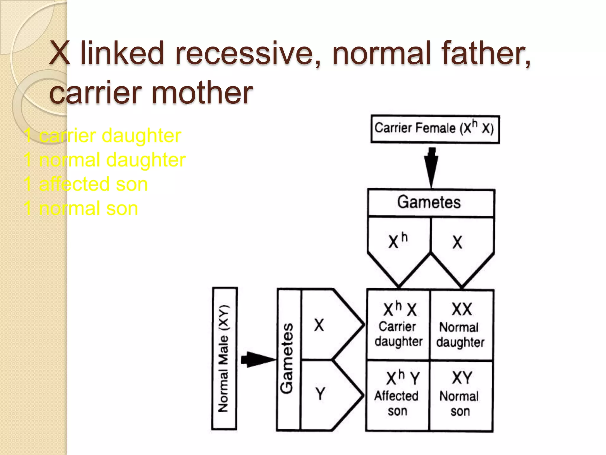 X linked recessive, normal father,
  carrier mother
1 carrier daughter
1 normal daughter
1 affected son
1 normal son
 