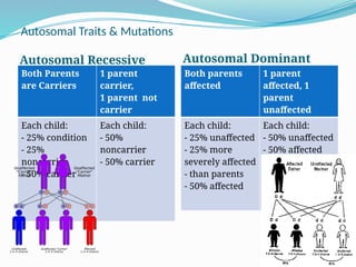 GENETICS inheritance pptx............... | PPTX