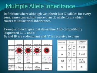 GENETICS inheritance pptx............... | PPTX