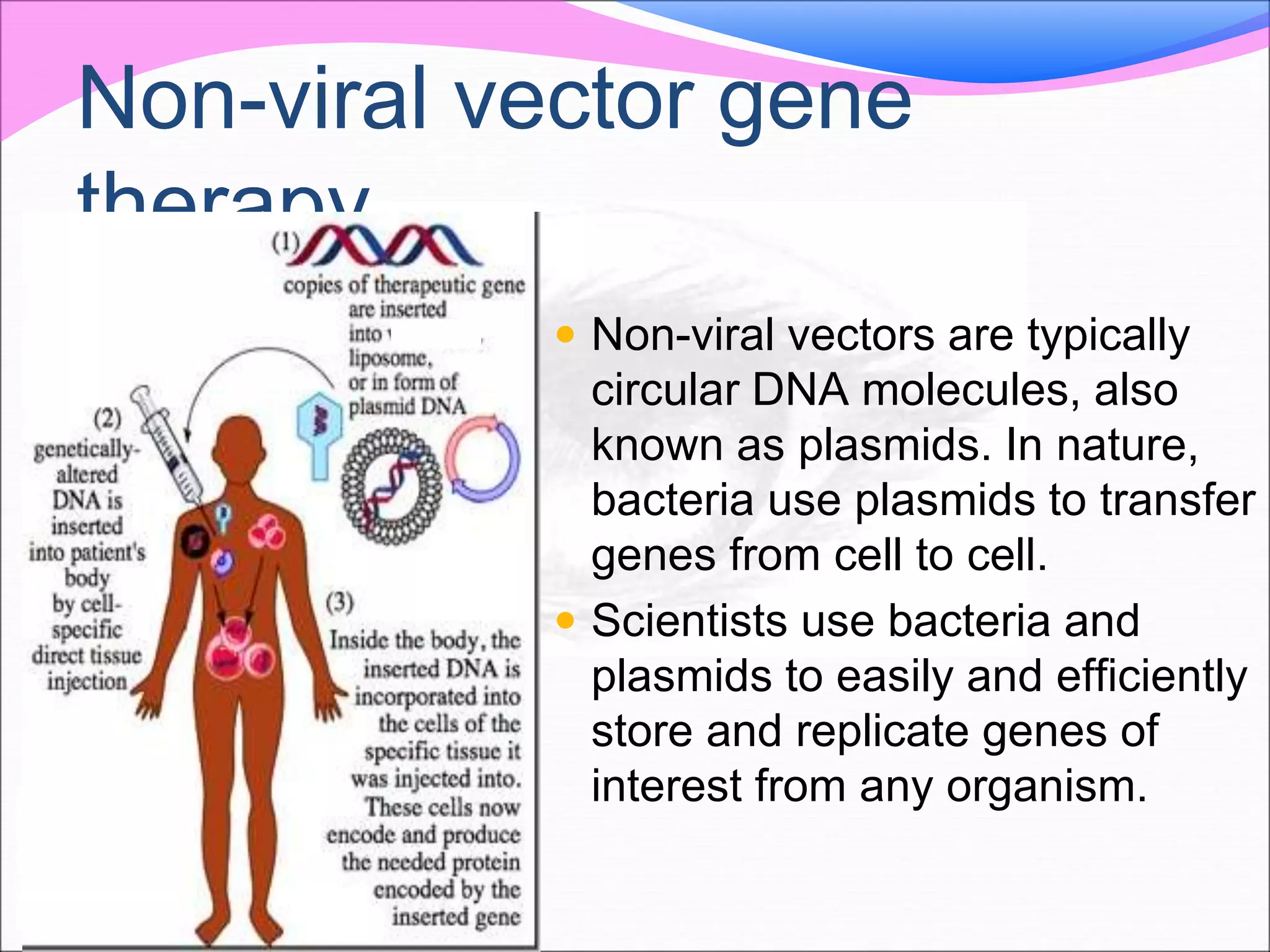 Non-viral vector gene
therapy
 Non-viral vectors are typically
circular DNA molecules, also
known as plasmids. In nature,
bacteria use plasmids to transfer
genes from cell to cell.
 Scientists use bacteria and
plasmids to easily and efficiently
store and replicate genes of
interest from any organism.
 