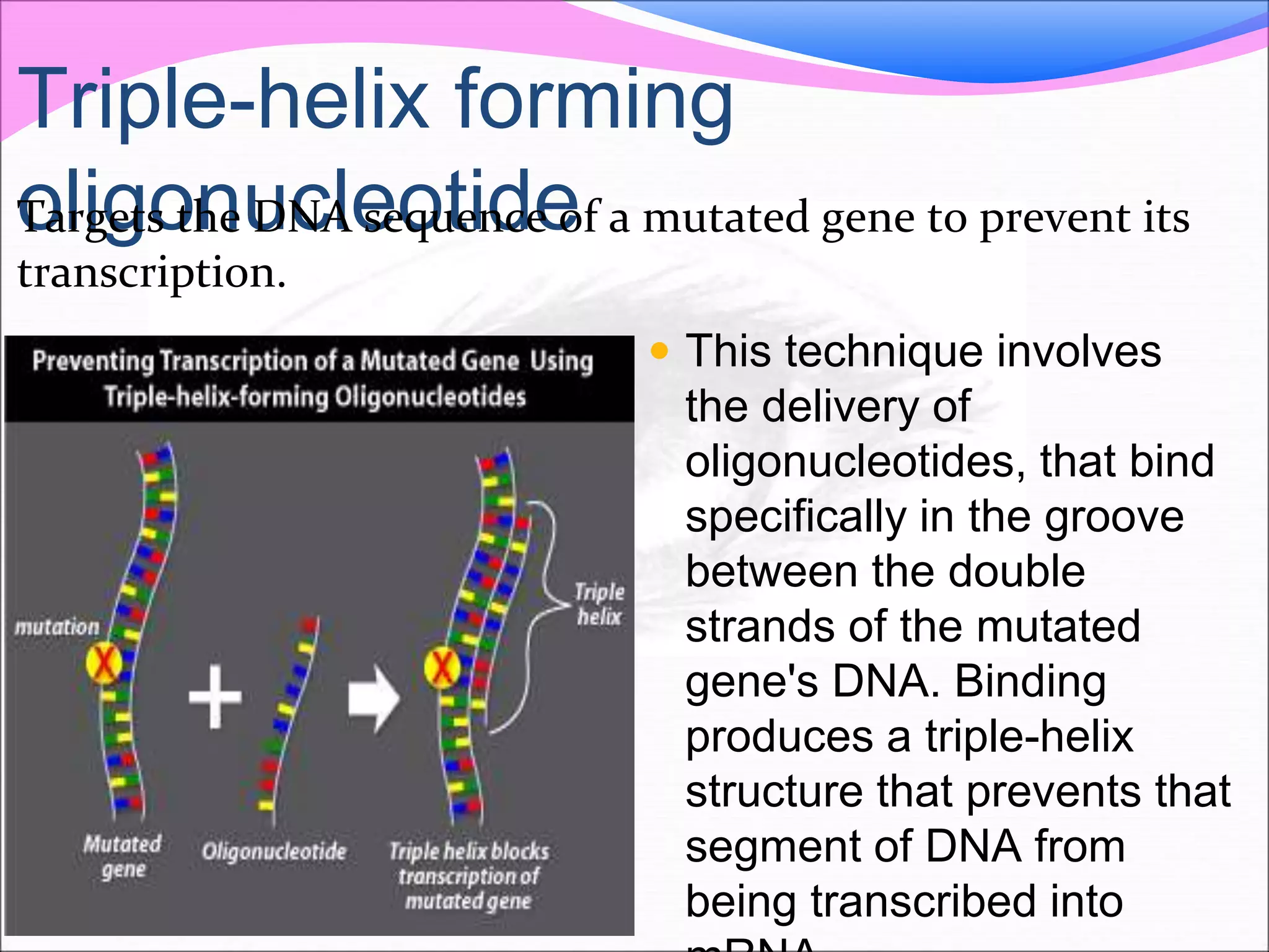 Triple-helix forming
oligonucleotide
 This technique involves
the delivery of
oligonucleotides, that bind
specifically in the groove
between the double
strands of the mutated
gene's DNA. Binding
produces a triple-helix
structure that prevents that
segment of DNA from
being transcribed into
Targets the DNA sequence of a mutated gene to prevent its
transcription.
 