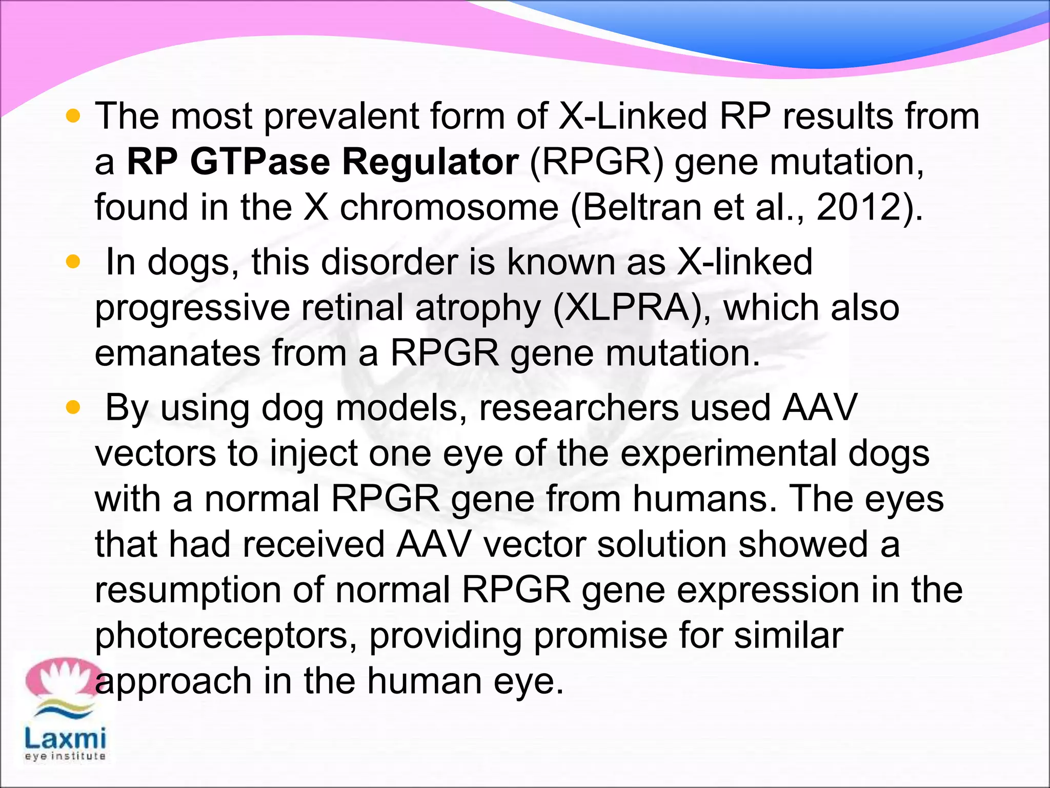  The most prevalent form of X-Linked RP results from
a RP GTPase Regulator (RPGR) gene mutation,
found in the X chromosome (Beltran et al., 2012).
 In dogs, this disorder is known as X-linked
progressive retinal atrophy (XLPRA), which also
emanates from a RPGR gene mutation.
 By using dog models, researchers used AAV
vectors to inject one eye of the experimental dogs
with a normal RPGR gene from humans. The eyes
that had received AAV vector solution showed a
resumption of normal RPGR gene expression in the
photoreceptors, providing promise for similar
approach in the human eye.
 