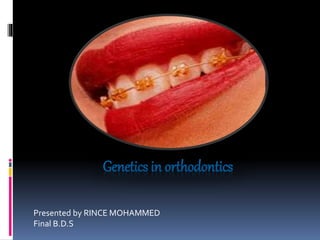 Genetics in orthodontics
Presented by RINCE MOHAMMED
Final B.D.S
 