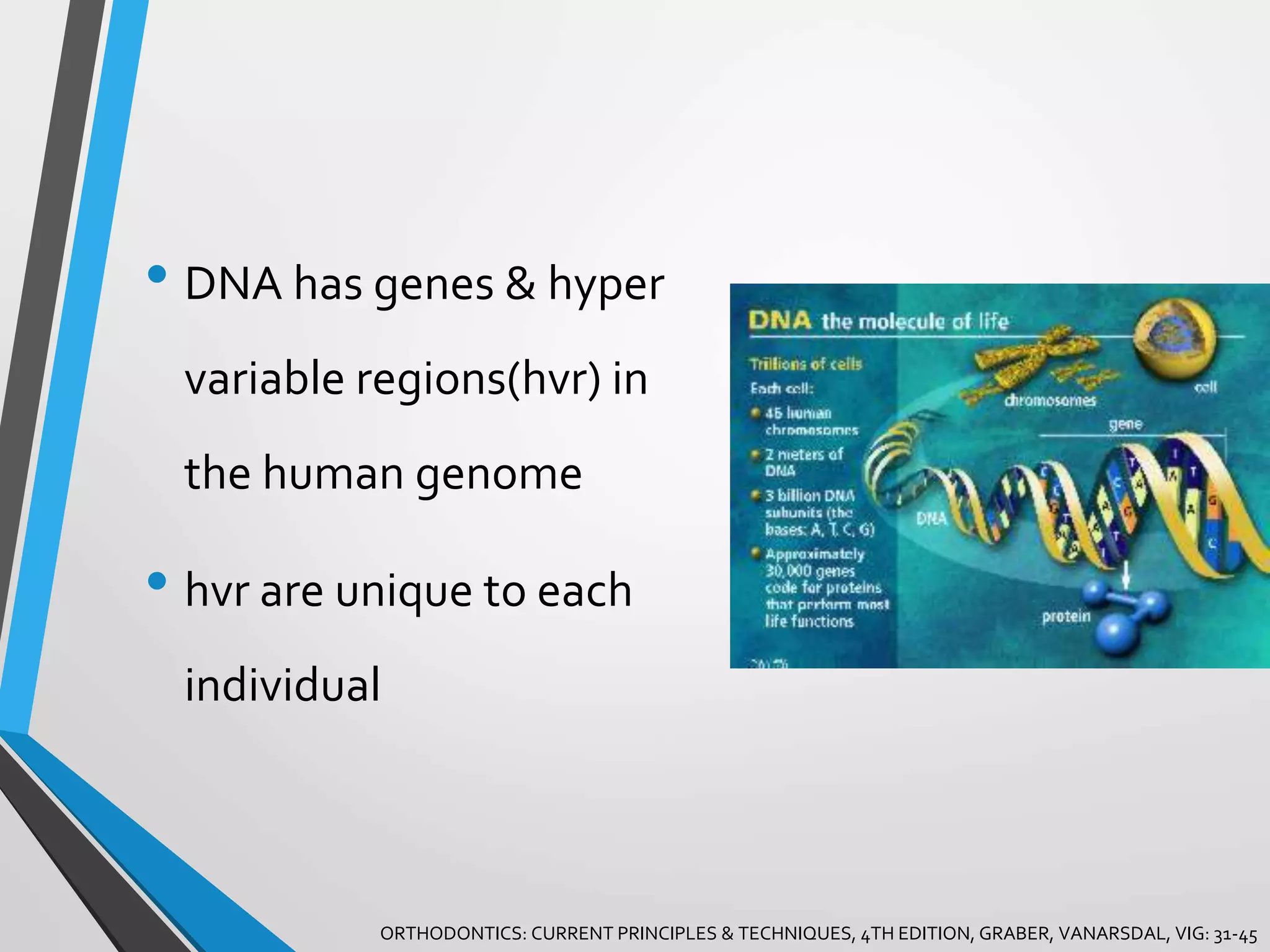 Genetics in Orthodontics | PPTX