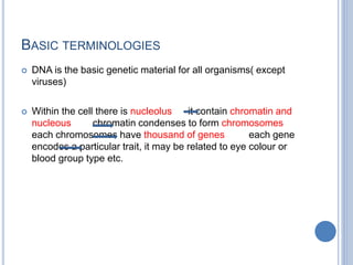 BASIC TERMINOLOGIES
 DNA is the basic genetic material for all organisms( except
viruses)
 Within the cell there is nucleolus it contain chromatin and
nucleous chromatin condenses to form chromosomes
each chromosomes have thousand of genes each gene
encodes a particular trait, it may be related to eye colour or
blood group type etc.
 