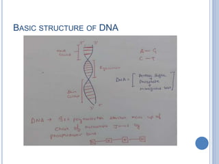 BASIC STRUCTURE OF DNA
 