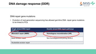 DNA repair gene mutations
• Evolution of next-generation sequencing has allowed germline DNA repair gene mutations
to be linked to PCa
Single strand DNA repair
pathways
Double strand DNA repair pathways
Mismatch repair (MMR) Homologous recombination (HR)
Base excision repair Non-homologous end joining (NHEJ)
Nucleotide excision repair
DNA damage response (DDR)
 