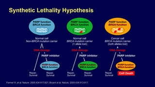 Synthetic Lethality Hypothesis
Farmer H, et al. Nature. 2005;434:917-921. Bryant et al. Nature. 2005;434:913-917.
Repair,
Survival
Repair,
Survival
Normal cell
Non-BRCA mutation carrier
PARP function
BRCA function
PARP inhibitor
PARP function
BRCA function
DNA damage
Repair,
Survival
Repair,
Survival
Normal cell
BRCA mutation carrier
(1 allele lost)
PARP function
BRCA function
PARP inhibitor
PARP function
BRCA function
DNA damage
Repair,
Survival
Cell Death
Cancer cell
BRCA mutation carrier
(both alleles lost)
PARP function
BRCA function
PARP inhibitor
DNA damage
PARP function
BRCA function
 