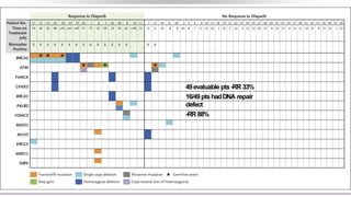 49evaluable pts-RR 33%
16/49ptshadDNA repair
defect
-RR 88%
 