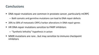 Conclusions
 DNA repair mutations are common in prostate cancer, particularly mCRPC
‒ Both somatic and germline mutations can lead to DNA repair defects
 20% to 30% of metastatic CRPCs harbor alterations in DNA repair genes
 HR DNA repair mutations sensitize to PARP inhibitors
‒ “Synthetic lethality” hypothesis in action
 MMR mutations are rare...but may sensitize to immune checkpoint
inhibitors
 