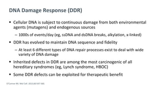 DNA Damage Response (DDR)
 Cellular DNA is subject to continuous damage from both environmental
agents (mutagens) and endogenous sources
‒ 1000s of events/day (eg, ssDNA and dsDNA breaks, alkylation, x-linked)
 DDR has evolved to maintain DNA sequence and fidelity
‒ At least 6 different types of DNA repair processes exist to deal with wide
variety of DNA damage
 Inherited defects in DDR are among the most carcinogenic of all
hereditary syndromes (eg, Lynch syndrome, HBOC)
 Some DDR defects can be exploited for therapeutic benefit
O’Connor MJ. Mol Cell. 2015;60:547-560.
 
