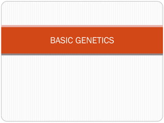 BASIC GENETICS
 