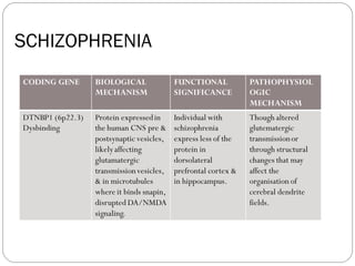 SCHIZOPHRENIA
CODING GENE BIOLOGICAL
MECHANISM
FUNCTIONAL
SIGNIFICANCE
PATHOPHYSIOL
OGIC
MECHANISM
DTNBP1 (6p22.3)
Dysbinding
Protein expressedin
the human CNS pre &
postsynaptic vesicles,
likelyaffecting
glutamatergic
transmissionvesicles,
& in microtubules
where it binds snapin,
disrupted DA/NMDA
signaling.
Individual with
schizophrenia
express less of the
protein in
dorsolateral
prefrontal cortex &
in hippocampus.
Though altered
glutematergic
transmissionor
through structural
changes that may
affect the
organisation of
cerebral dendrite
fields.
 