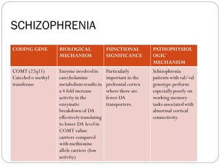 SCHIZOPHRENIA
CODING GENE BIOLOGICAL
MECHANISM
FUNCTIONAL
SIGNIFICANCE
PATHOPHYSIOL
OGIC
MECHANISM
COMT (22q11)
Catechol o methyl
transferase
Enzyme involvedin
catecholamine
metabolism results in
a 4 fold increase
activity in the
enzymatic
breakdown of DA
effectivelytranslating
to lower DA levelin
COMT valine
carriers compared
with methionine
allele carriers (low
activity)
Particularly
important in the
prefrontal cortex
where there are
fewer DA
transporters.
Schizophrenia
patients with val/val
genotype perform
especiallypoorly on
working memory
tasks associatedwith
abnormal cortical
connectivity.
 