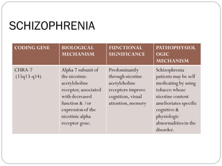 SCHIZOPHRENIA
CODING GENE BIOLOGICAL
MECHANISM
FUNCTIONAL
SIGNIFICANCE
PATHOPHYSIOL
OGIC
MECHANISM
CHRA-7
(15q13-q14)
Alpha 7 subunit of
the nicotinic
acetylcholine
receptor, associated
with decreased
function & /or
expressionof the
nicotinic alpha
receptor gene.
Predominantly
through nicotine
acetylcholine
receptors improve
cognition, visual
attention,memory
Schizophrenia
patients may be self
medicating by using
tobacco whose
nicotine content
amelioriates specific
cognitive &
physiologic
abnormalitiesin the
disorder.
 