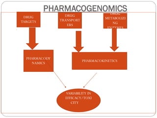 PHARMACOGENOMICS
DRUG
TARGETS
DRUG
TRANSPORT
ERS
DRUG
METABOLIZI
NG
ENZYMES
PHARMACODY
NAMICS
PHARMACOKINETICS
VARIABILITY IN
EFFICACY/TOXI
CITY
 