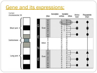 Gene and its expressions:
 