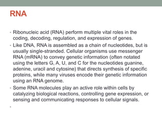 RNA
• Ribonucleic acid (RNA) perform multiple vital roles in the
coding, decoding, regulation, and expression of genes.
• Like DNA, RNA is assembled as a chain of nucleotides, but is
usually single-stranded. Cellular organisms use messenger
RNA (mRNA) to convey genetic information (often notated
using the letters G, A, U, and C for the nucleotides guanine,
adenine, uracil and cytosine) that directs synthesis of specific
proteins, while many viruses encode their genetic information
using an RNA genome.
• Some RNA molecules play an active role within cells by
catalyzing biological reactions, controlling gene expression, or
sensing and communicating responses to cellular signals.
•
 