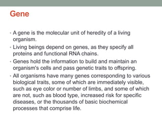 Gene
• A gene is the molecular unit of heredity of a living
organism.
• Living beings depend on genes, as they specify all
proteins and functional RNA chains.
• Genes hold the information to build and maintain an
organism's cells and pass genetic traits to offspring.
• All organisms have many genes corresponding to various
biological traits, some of which are immediately visible,
such as eye color or number of limbs, and some of which
are not, such as blood type, increased risk for specific
diseases, or the thousands of basic biochemical
processes that comprise life.
 