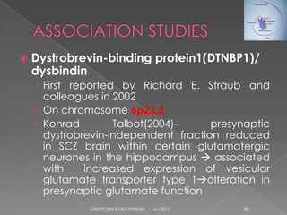    Dystrobrevin-binding protein1(DTNBP1)/
    dysbindin
    › First reported by Richard E. Straub and
      colleagues in 2002
    › On chromosome 6p22.3
    › Konrad        Talbot(2004)-     presynaptic
      dystrobrevin-independent fraction reduced
      in SCZ brain within certain glutamatergic
      neurones in the hippocampus  associated
      with    increased expression of vesicular
      glutamate transporter type 1alteration in
      presynaptic glutamate function
              GENETICS IN SCHIZOPHRENIA   6/1/2012   46
 