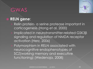    RELN gene:
    › Relin protein- a serine protease important in
      corticogenesis (Hong et al, 2000)
    › Implicated in neurotransmitter-related GSK3β
      signaling and regulation of NMDA receptor
      activation (Herz, 2006)
    › Polymorphism in RELN associated with
      neurocognitive endophenotypes of
      SCZ(working memory and executive
      functioning) (Wedenoja, 2008)

               GENETICS IN SCHIZOPHRENIA   6/1/2012   53
 