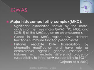    Major histocompatibility complex(MHC):
    › Significant association shown by the meta-
      analysis of the three major GWAS (ISC, MGS, and
      SGENE) at the MHC region on chromosome 6
    › Genes in the MHC region have different
      functions immune function predominate
    › Histones     regulate     DNA    transcription    by
      chromatin modification and have role as
      antimicrobial agent genetic variation in
      histones might underlie differential placental
      susceptibility to infection susceptibility to SCZ*
                                     (Gejman et al 2010)
                GENETICS IN SCHIZOPHRENIA   6/1/2012   56
 
