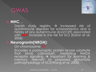    MHC…
    › Danish   study registry  increased risk of
     autoimmune diseases for schizophrenics and a
     history of any autoimmune d/o(n=29) associated
     with 45% increase in the risk for SCZ (Eaton et al,
     2006)
   Neurogranin(NRGN):
    › On chromosome 11
    › Encodes a postsynaptic protein kinase substrate
     that binds calmodulin, mediating NMDA
     receptor signaling  important for learning &
     memory, relevant to proposed glutamate
     pathophysiology of SCZ(Wang et al, 2008)

               GENETICS IN SCHIZOPHRENIA   6/1/2012   57
 