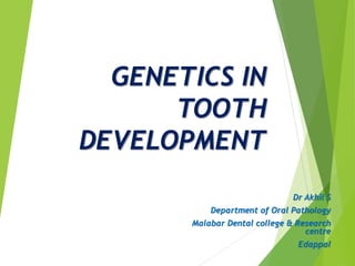 GENETICS IN
TOOTH
DEVELOPMENT
Dr Akhil S
Department of Oral Pathology
Malabar Dental college & Research
centre
Edappal
 