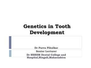 Genetics in Tooth
Development
Dr Purva Pihulkar
Senior Lecturer
Dr HSRSM Dental College and
Hospital,Hingoli,Maharashtra
 