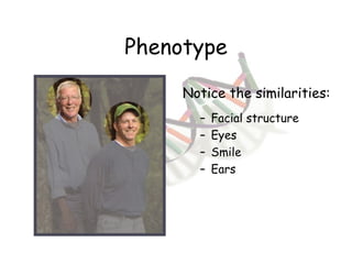 Phenotype Facial structure Eyes Smile Ears Notice the similarities: 