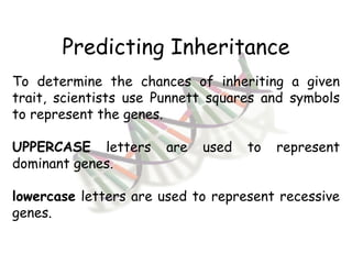 Predicting Inheritance To determine the chances of inheriting a given trait, scientists use Punnett squares and symbols to represent the genes. UPPERCASE  letters are used to represent dominant genes. lowercase  letters are used to represent recessive genes. 