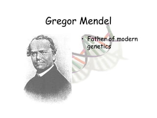 Gregor Mendel Father of modern genetics 