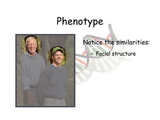 Phenotype Facial structure Notice the similarities: 