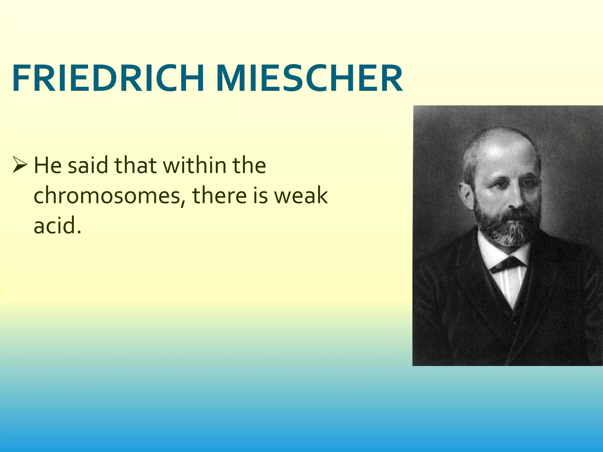 FRIEDRICH MIESCHER

 He said that within the
  chromosomes, there is weak
  acid.
 
